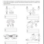 Balanced And Unbalanced Forces Activity