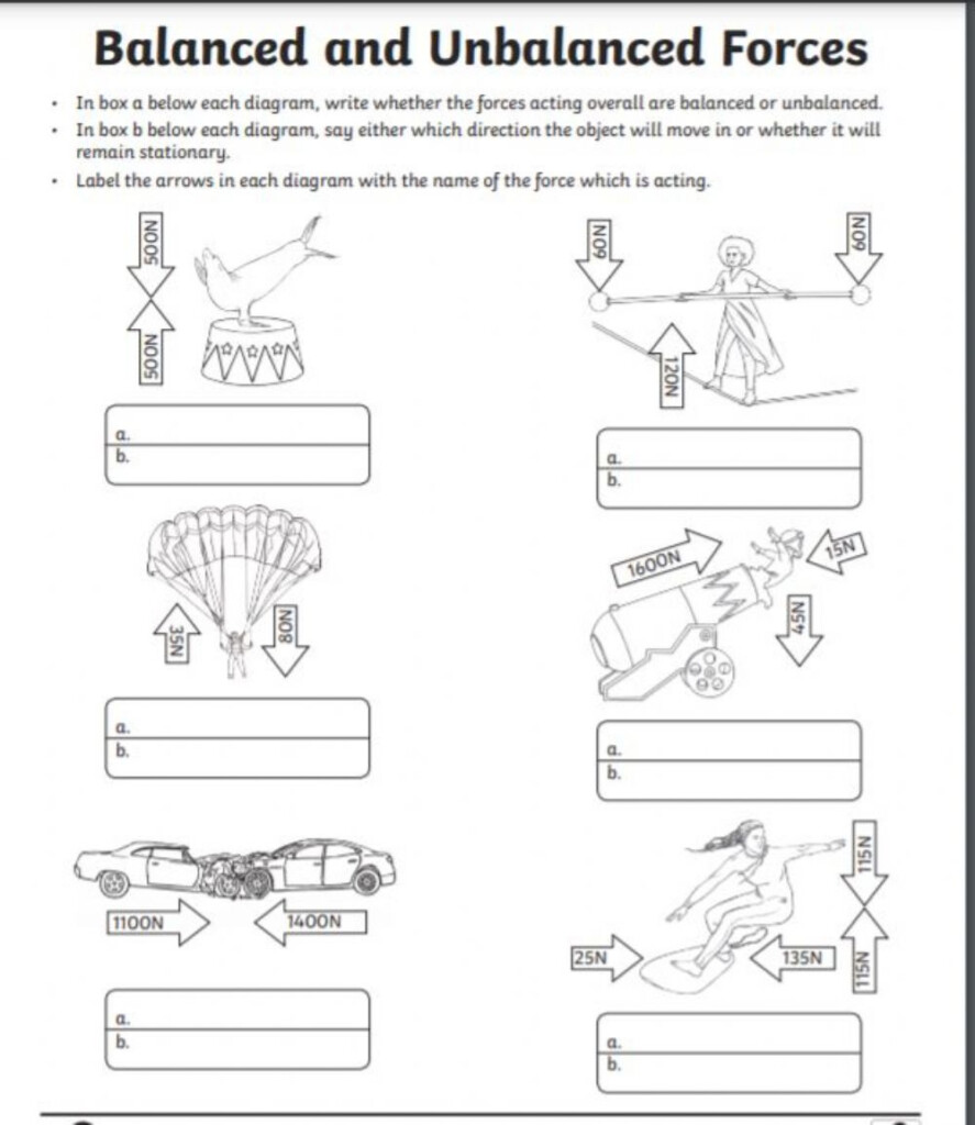 Balanced And Unbalanced Forces Activity