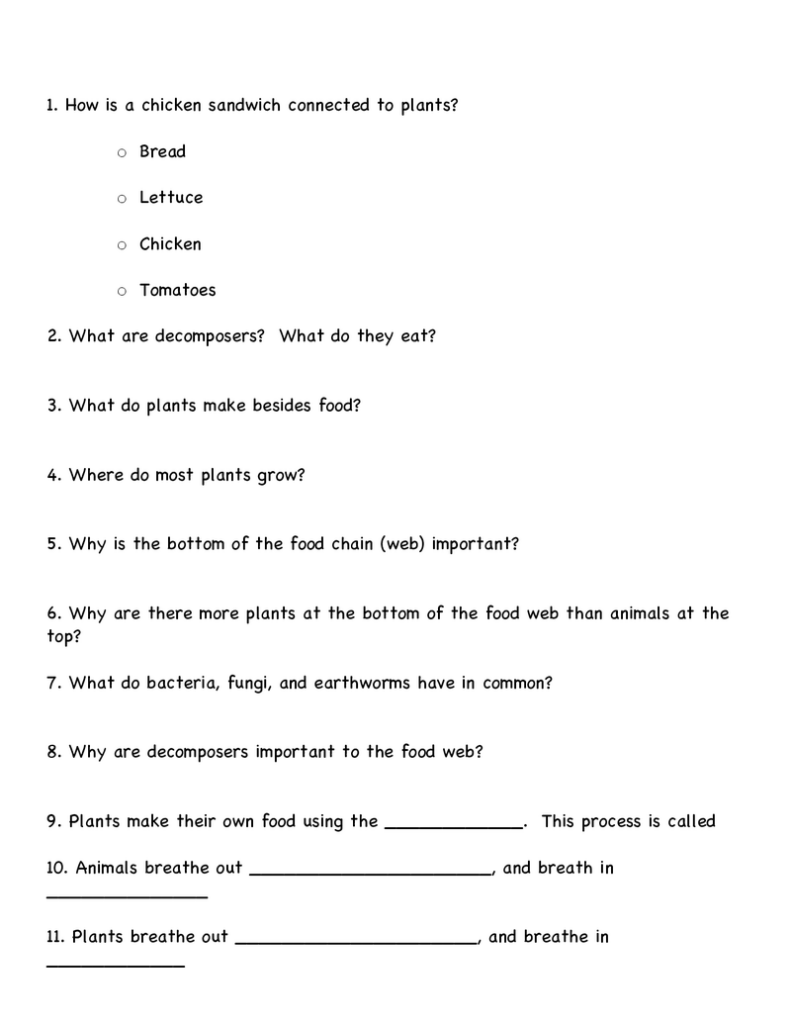 Bill Nye Food Web Worksheet Food Web Worksheet Food Web Nye Food