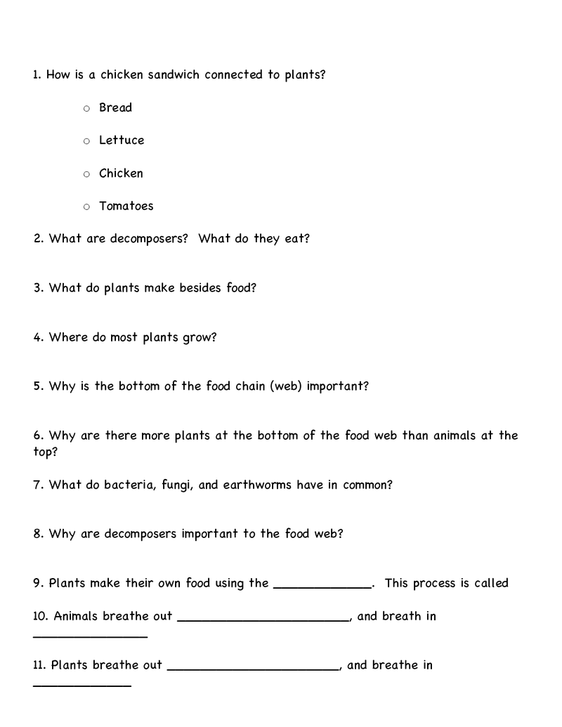 Bill Nye The Science Guy Food Web Worksheet Answer Key