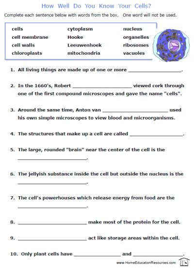 Cells Worksheets Biology Worksheet Cells Worksheet Science Worksheets