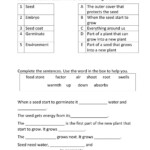 Class 4 Science 4 Made Of Worksheet Science Grade 4 Worksheet