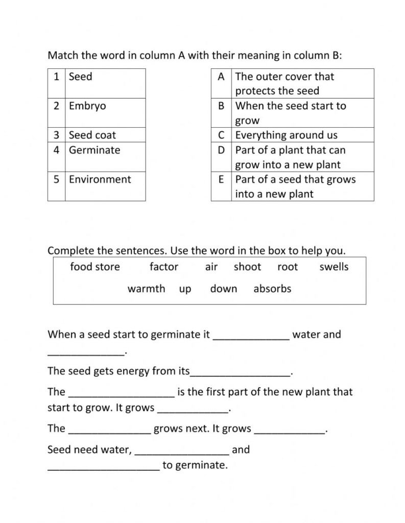 Class 4 Science 4 Made Of Worksheet Science Grade 4 Worksheet 