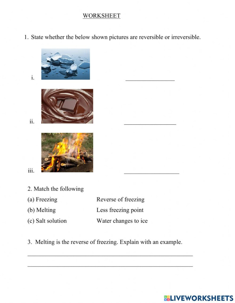 Class 4 Science 4 Made Of Worksheet Science Grade 4 Worksheet Ball 