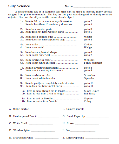 Dichotomous Key Science Worksheets Life Science Classroom