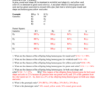 Dihybrid Cross Worksheet In Peas Round Seed