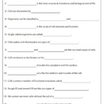 Ejercicio De Cells 9TH GRADE