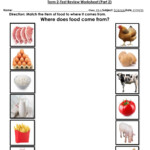 Ejercicio De Where Our Food Come From