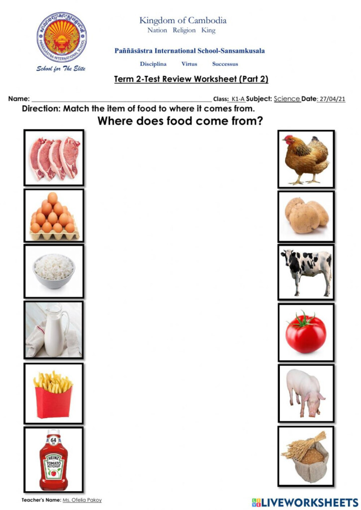 Ejercicio De Where Our Food Come From 