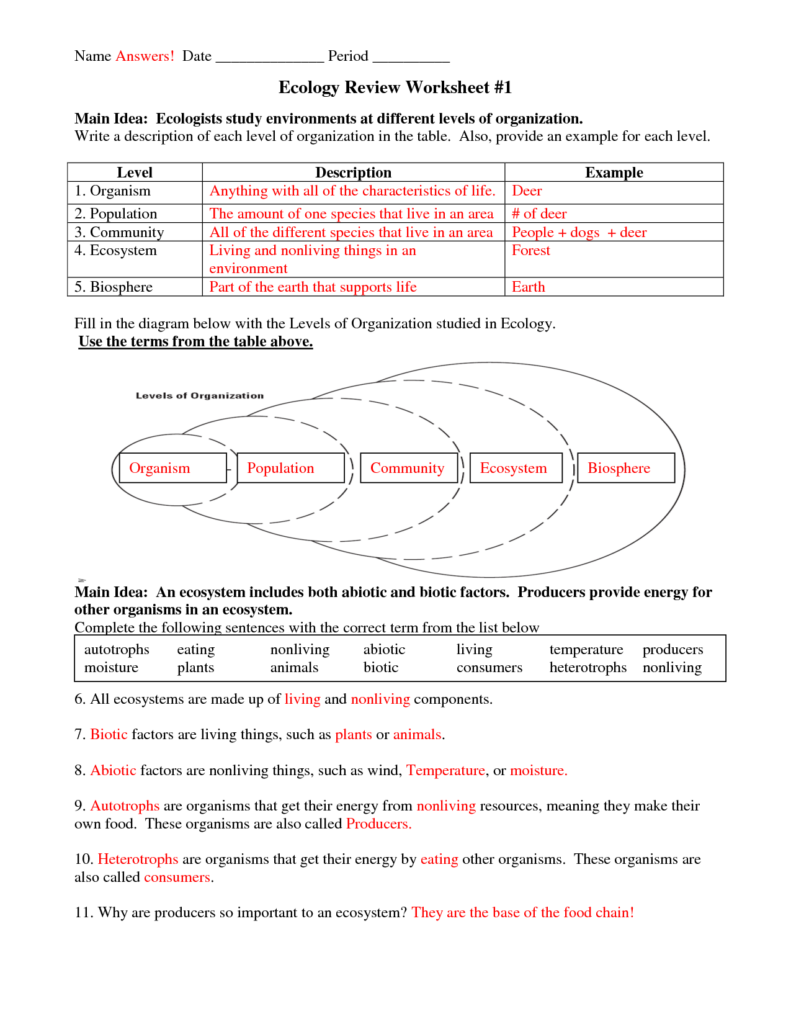 Excel 10th Grade Science Worksheets 10th Grade Earth Science 