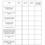 Four Animal Adaptations Worksheet Science Skills Sixth Grade
