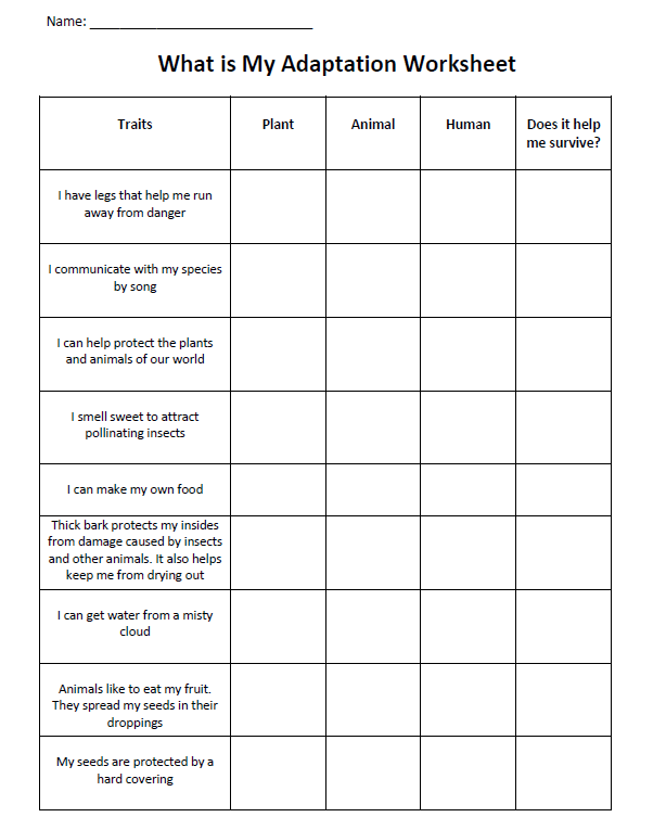 Four Animal Adaptations Worksheet Science Skills Sixth Grade 