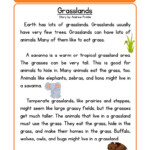 Fourth Grade Reading Comprehension Worksheets