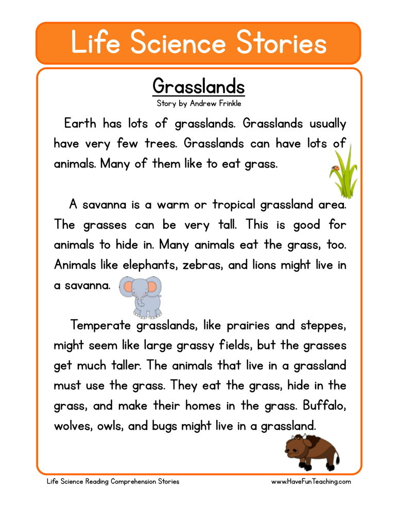 Fourth Grade Reading Comprehension Worksheets