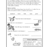 Free Printable Science Worksheets For 2Nd Grade Free Printable