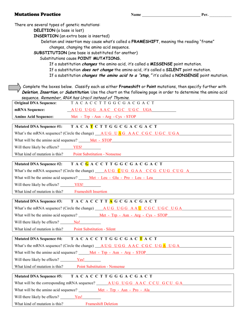 Genetic Mutations Worksheet Answer Key