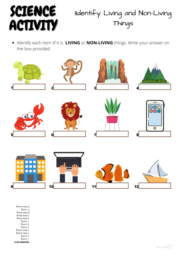 Grade 1 Science Activity Sheets Living And Non Living Things 1 