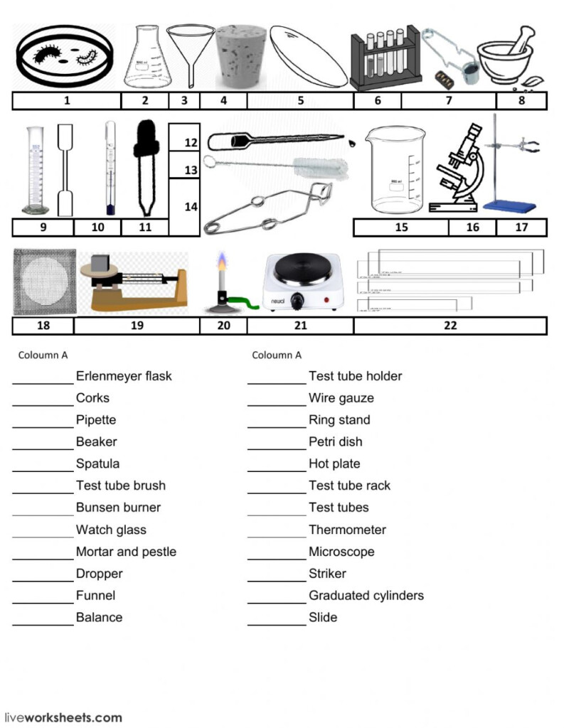 Lab Equipment Worksheet Answers