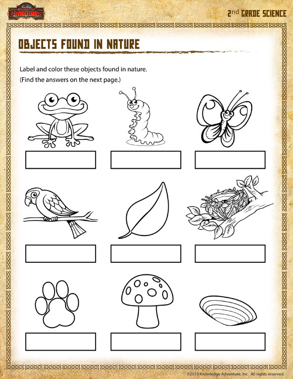 Objects Found In Nature View 2nd Grade Science Worksheet SoD