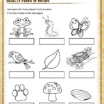 Objects Found In Nature View 2nd Grade Science Worksheet SoD