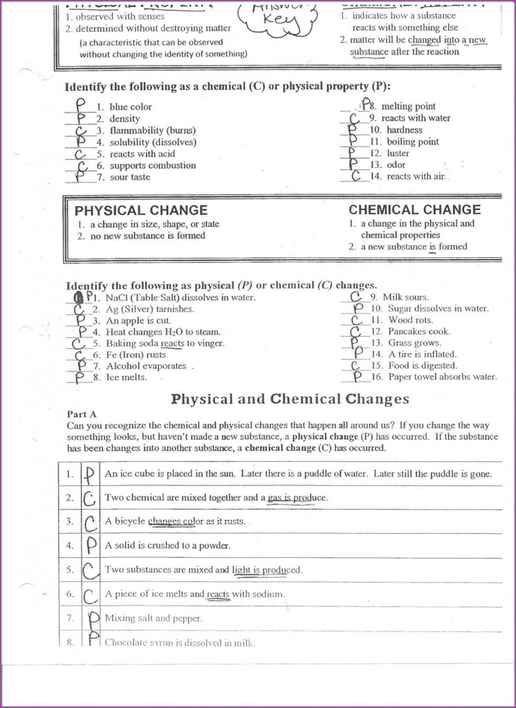 Physical Science Newton s Laws Worksheet Answers Worksheet Resume 