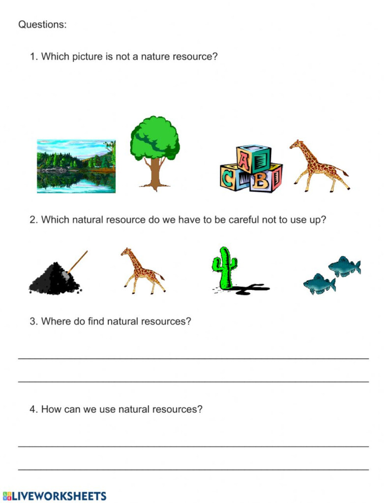 Planets Of The Solar System Worksheet Unit 1 Life Cycle Of A 