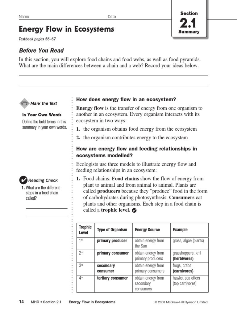 Practice Energy Flow 1 Worksheet Answers It s Not Rocket Science