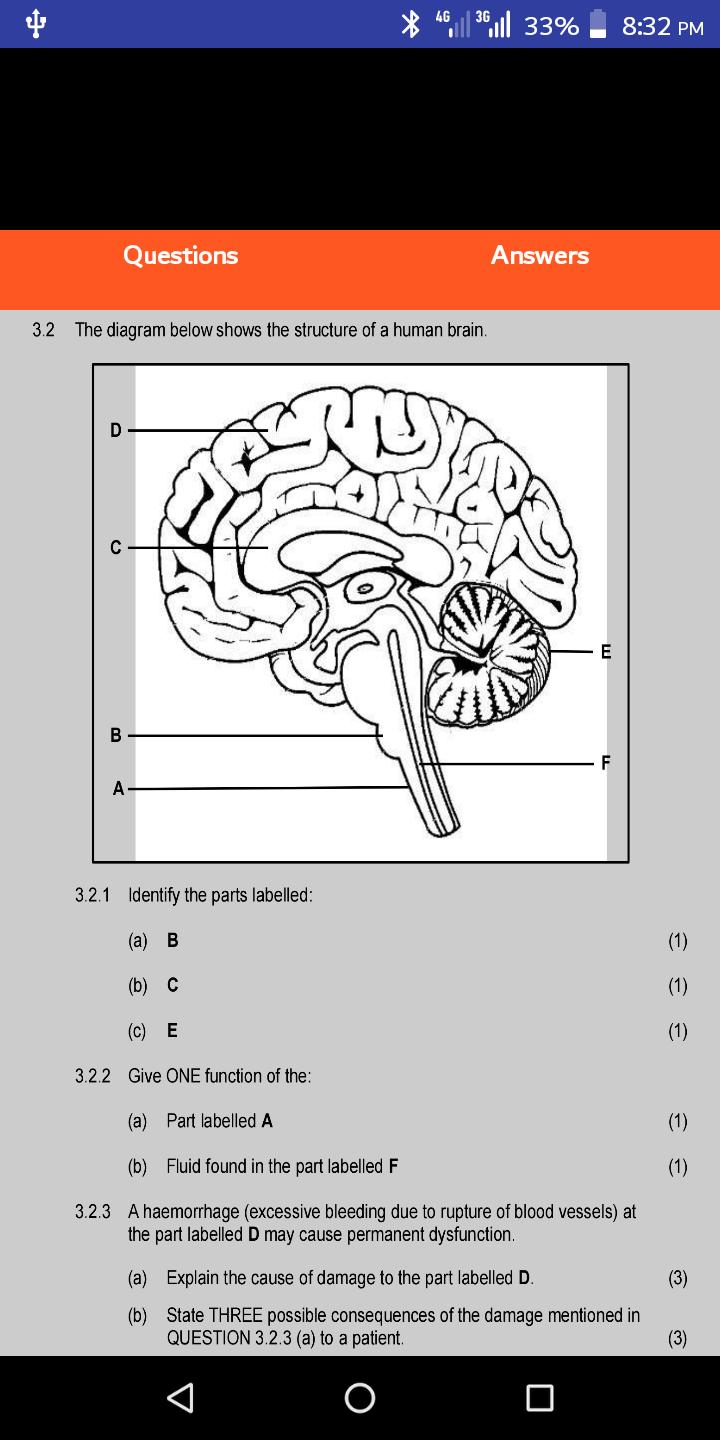 life sciences grade 12 assignment 2023