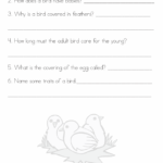 Sample 3rd Grade Science Identify Inherited Traits