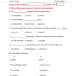 Science Grade 5 Term 3 Practice Exam Interactive Worksheet Science