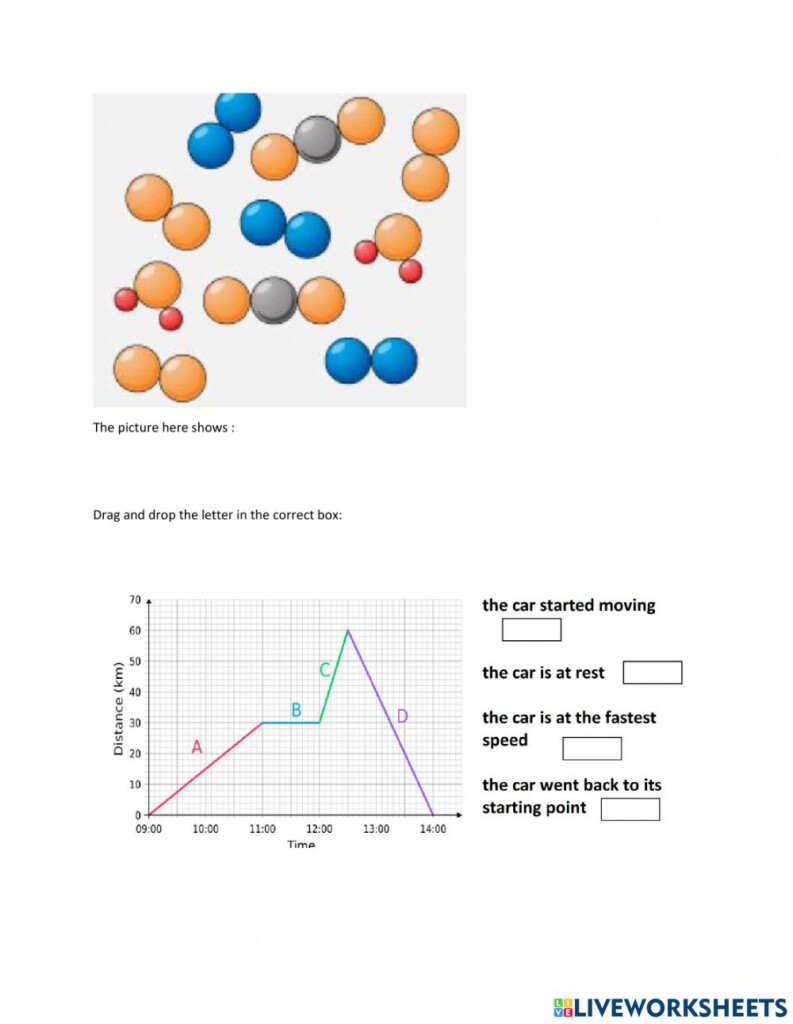 Science Ig Grade7 Worksheet