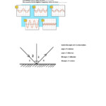 Science Ig Grade7 Worksheet