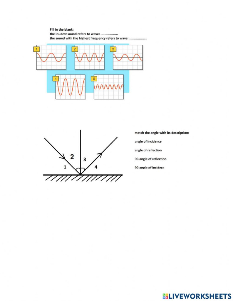 Science Ig Grade7 Worksheet