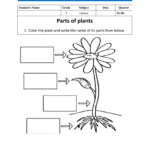 Science Interactive Activity For Grade 2