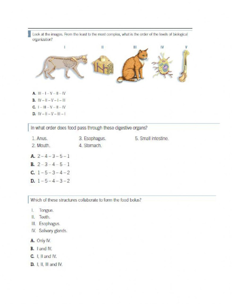 Science Worksheet For 5th Grade