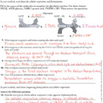 Science Worksheets For 9th Grade