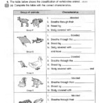 Science Year 4 Human Worksheet Science Review Grade 4 Worksheet