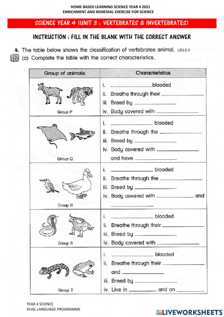 Science Year 4 Human Worksheet Science Review Grade 4 Worksheet 