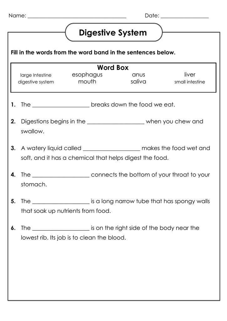 States Of Matter Worksheet