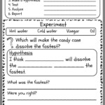 Third Grade Scientific Method Worksheet Pdf For 3rd Grade