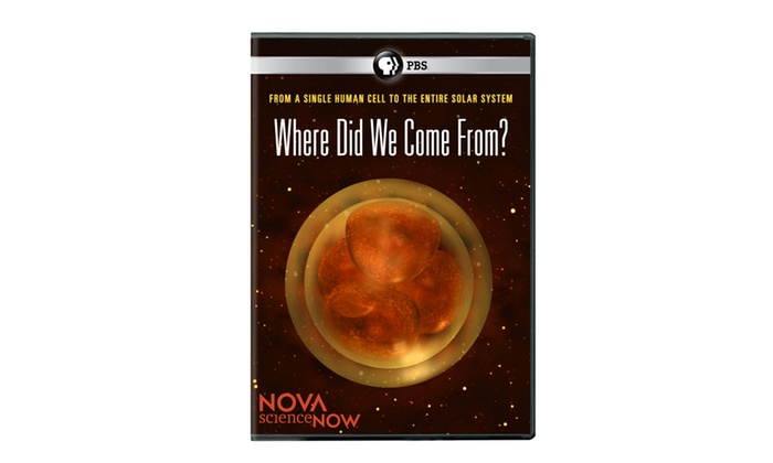 Thursday NOVA Where Did We Come From Ms Lea s Blog