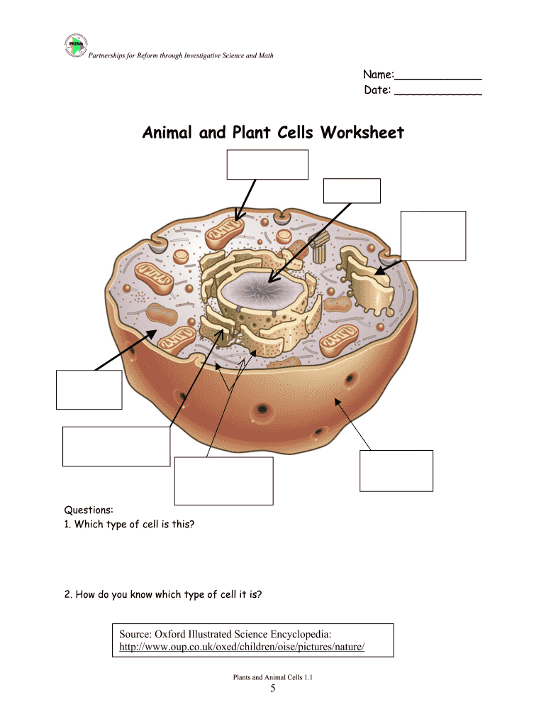 UK PRISM Animal And Plan Cells Worksheet Fill And Sign Printable