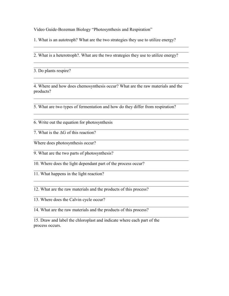 Video Guide Bozeman Biology Photosynthesis And Respiration doc