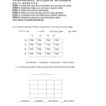 Worksheet Dihybrid Crosses