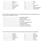 10th Grade Science Worksheets