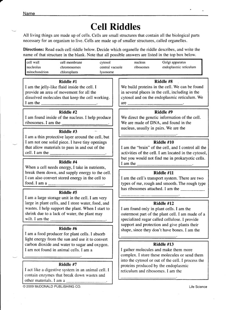 14 Cell Organelle Riddles Worksheet Answers Biology Worksheet 