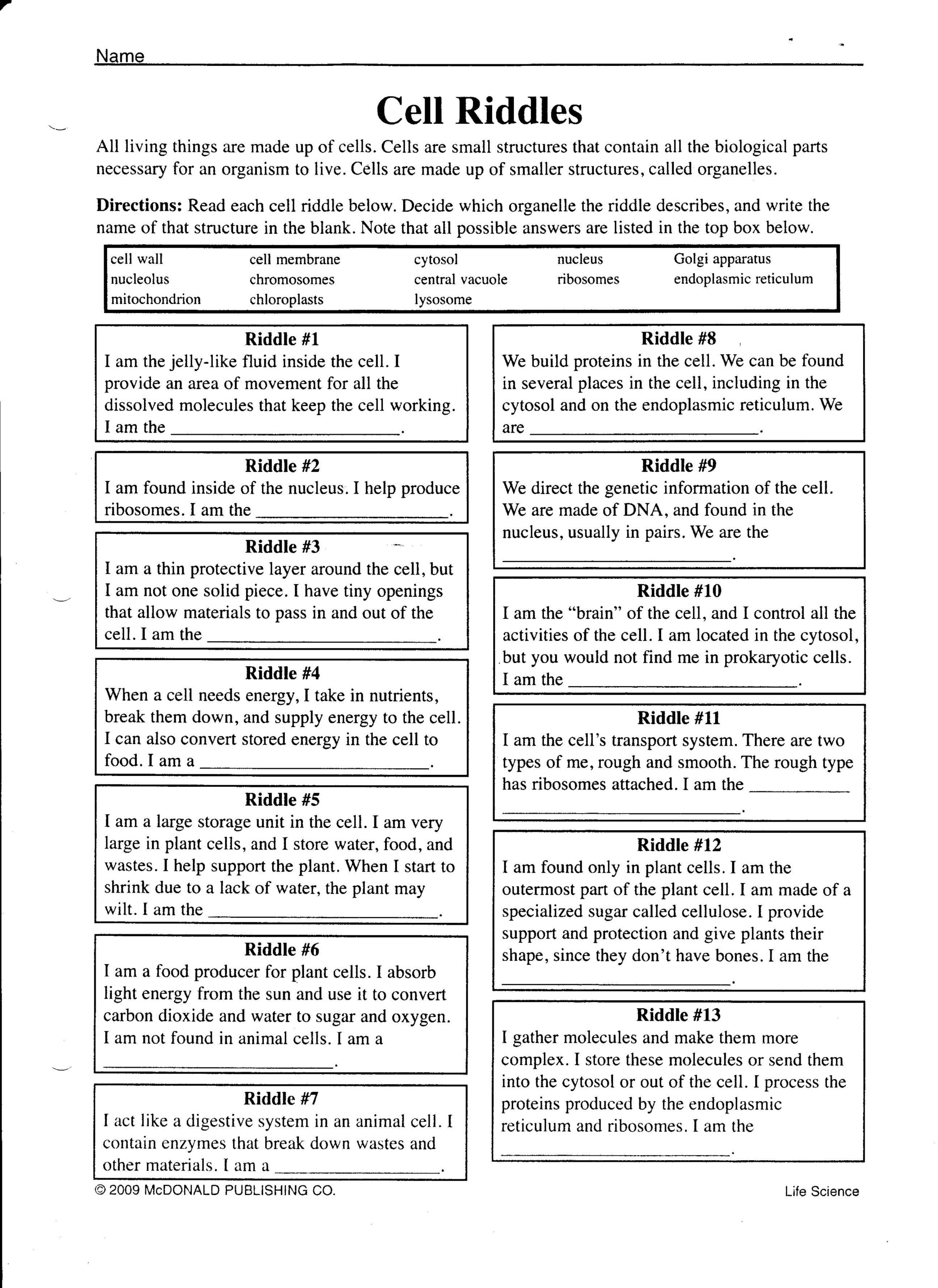 14 Cell Organelle Riddles Worksheet Answers Biology Worksheet