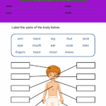 2nd Grade Free Science Worksheets 2 Worksheets Free