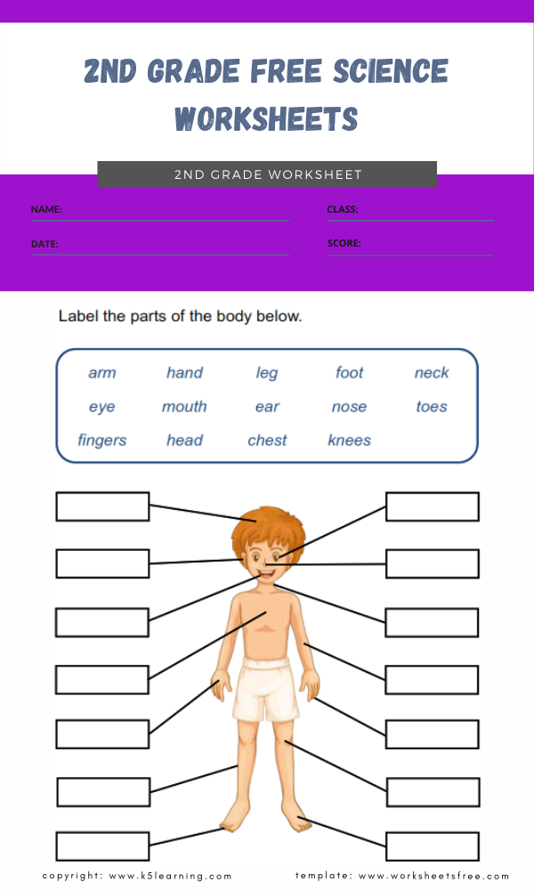 2nd Grade Free Science Worksheets 2 Worksheets Free
