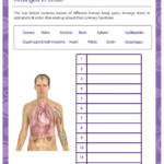 2Nd Grade Science Worksheets Printables